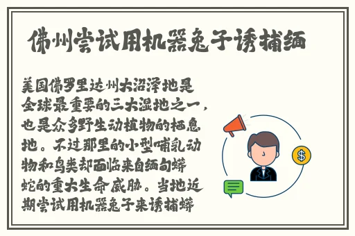 红桃国际一起草